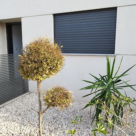 עין המעיינות דירת נופש חלומית Apartment Sede Terumot Exterior photo